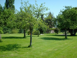 farmhouse garden